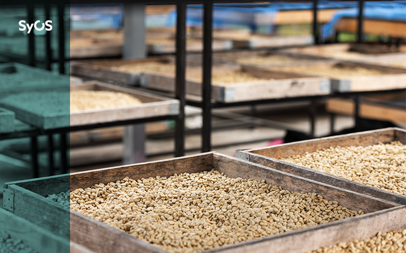 Temperatura de armazenamento ambiente