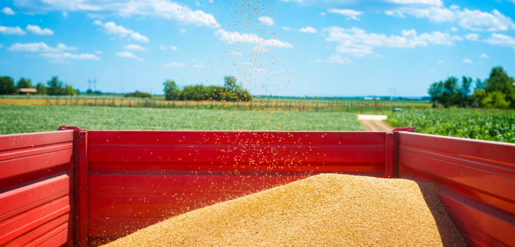 Controle de umidade de grãos