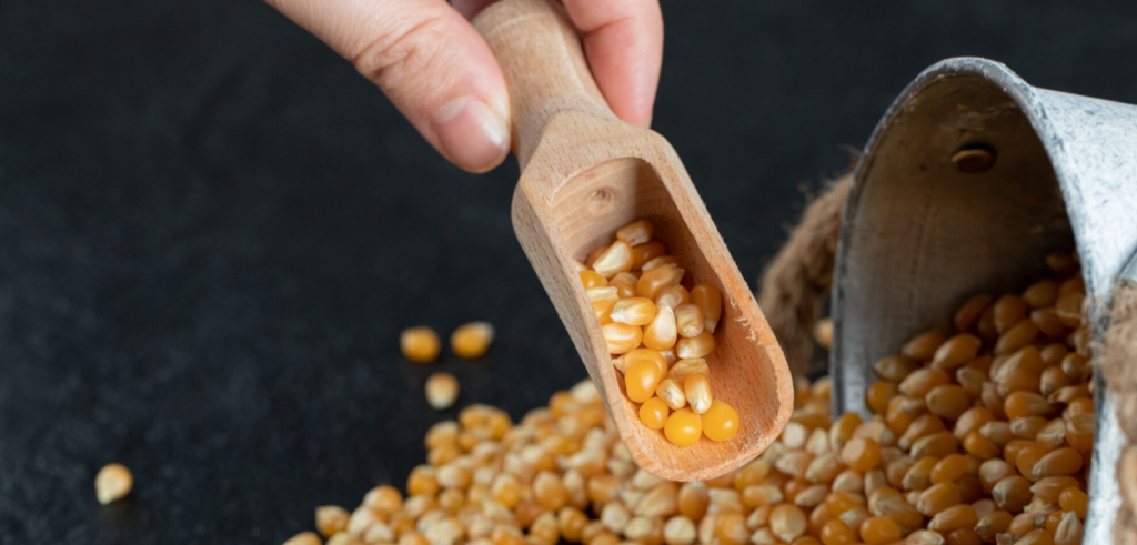 temperatura e umidade de milho e soja