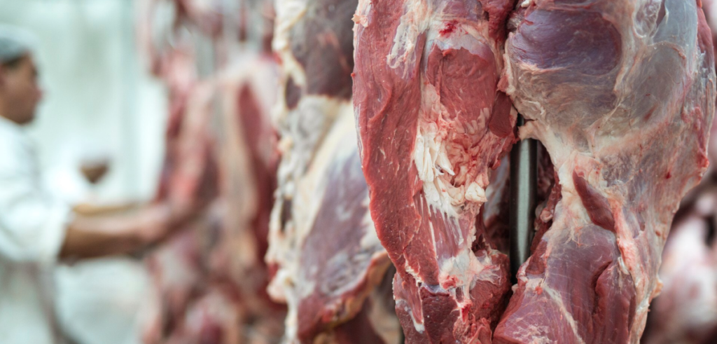 SIF para carne bovina