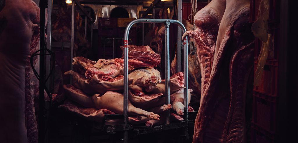 NR 36 trabalho baixas temperaturas